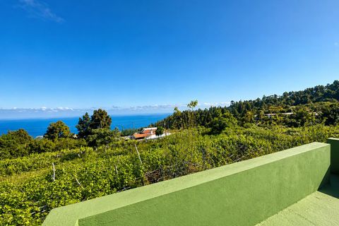 Finca in La Florida, Tenerife - Foto 3